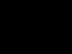 DSCN0463