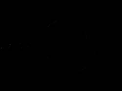 DSCN0499