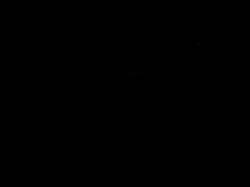 DSCN1640